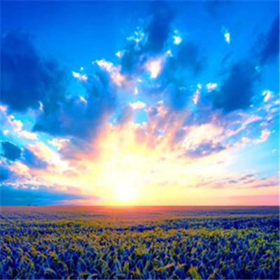 空荧酒馆app官方版下载